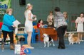 /album/fotogalereya-photo-/a1422364-610571619003547-1187710040-n-jpg/